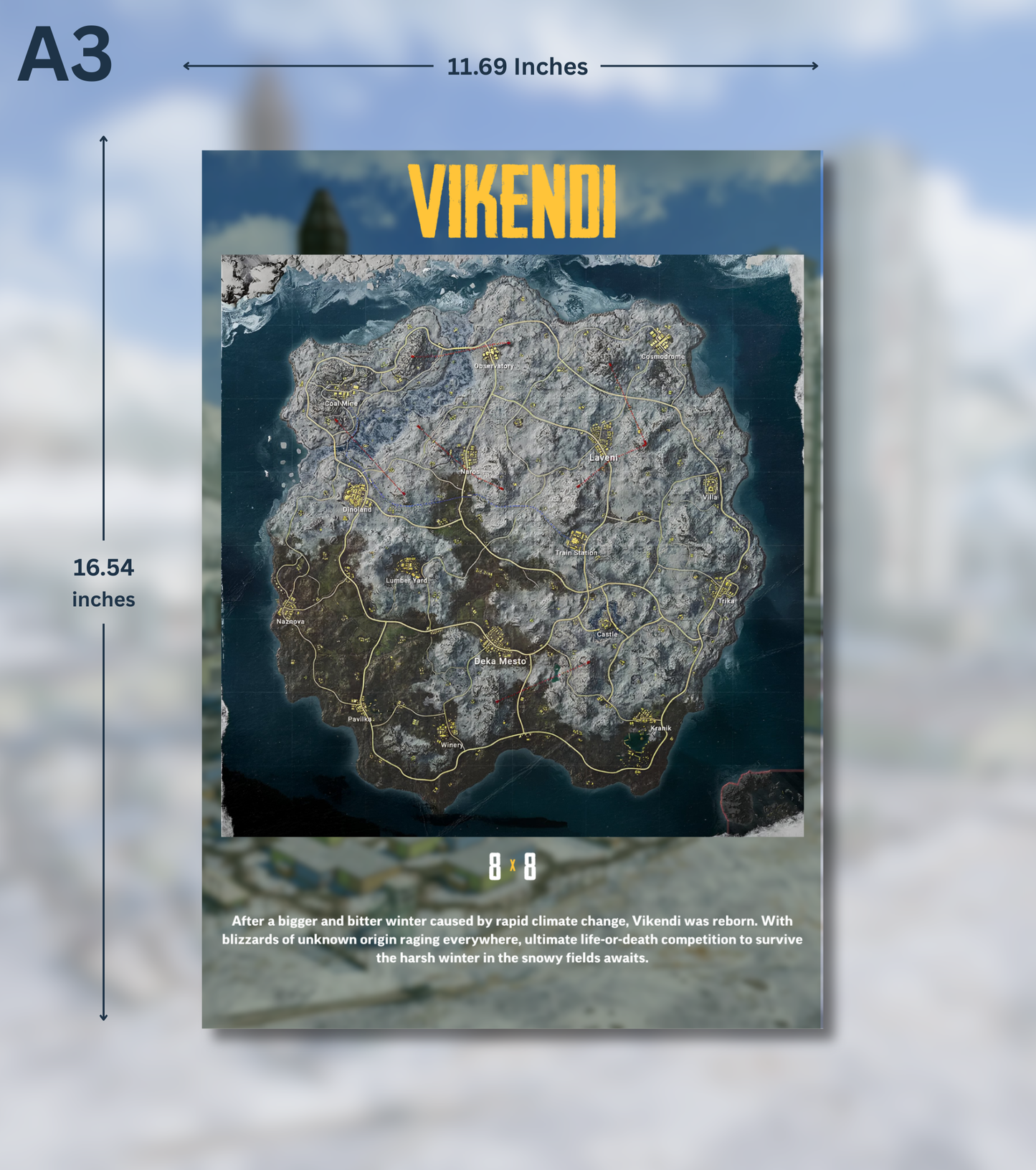 BGMI Map Wall Art Set – 300 GSM High Matte Finish