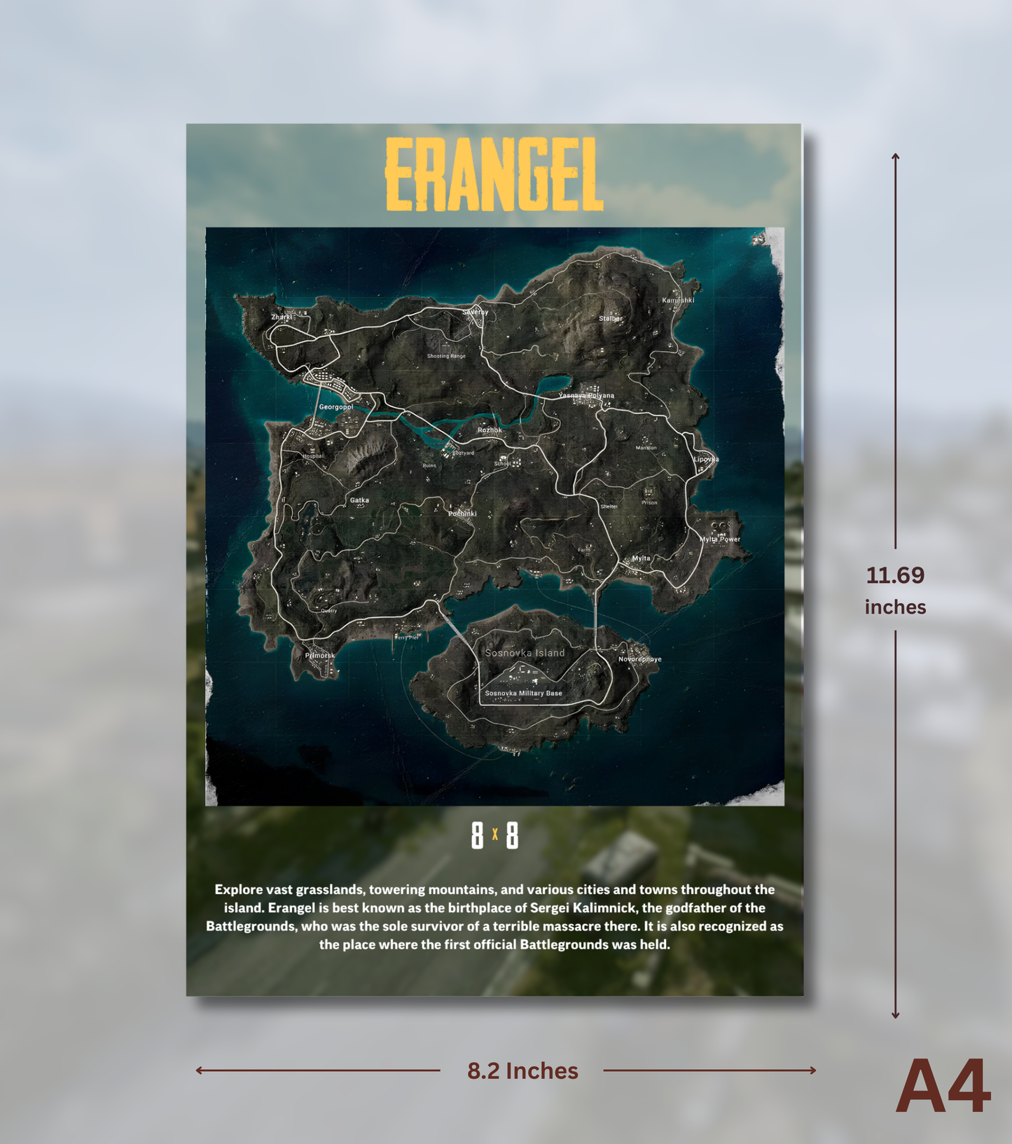 BGMI Map Wall Art Set – 300 GSM High Matte Finish