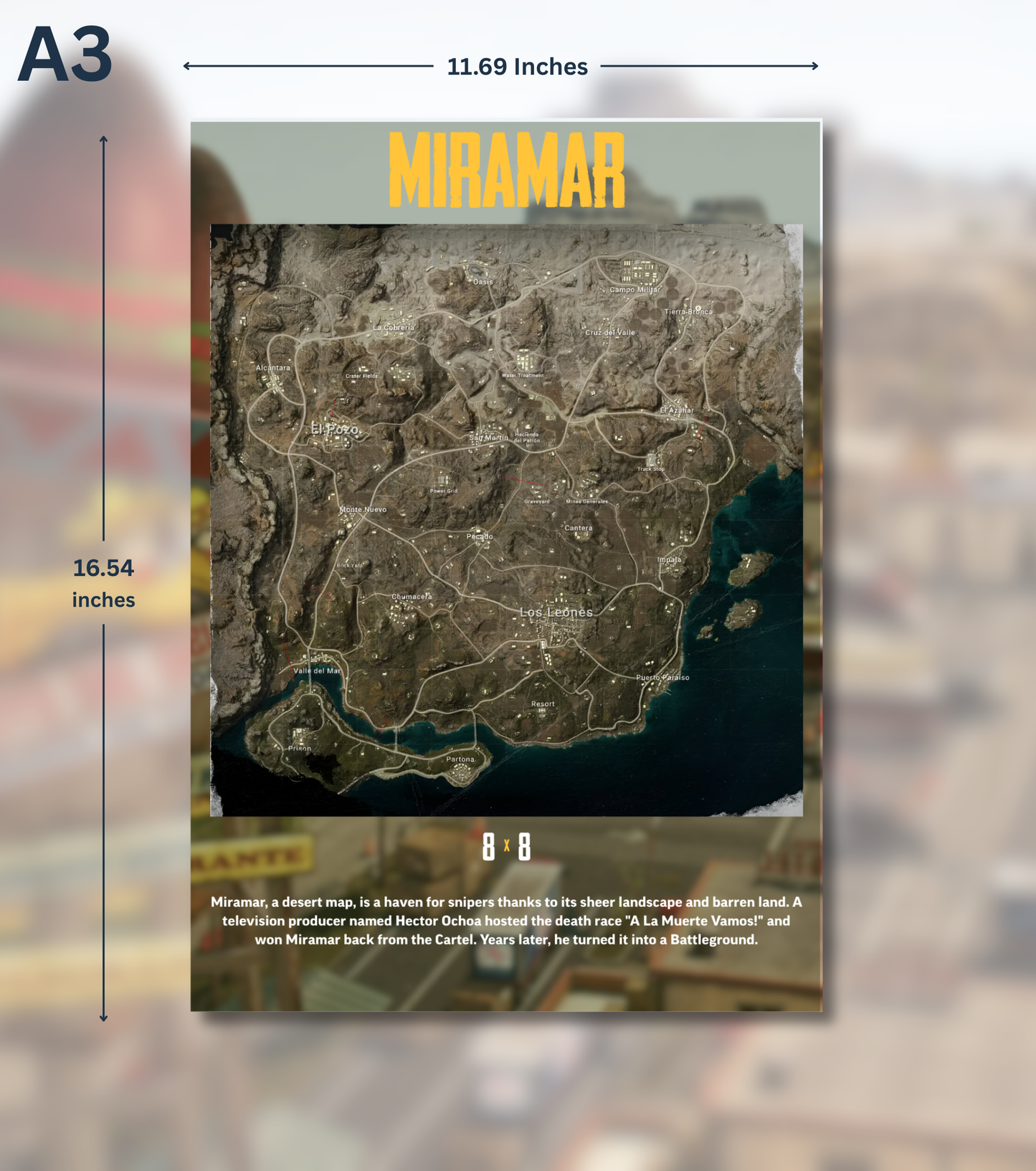 BGMI Map Wall Art Set – 300 GSM High Matte Finish